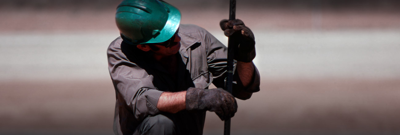 Homepage Banner Divert and Renew