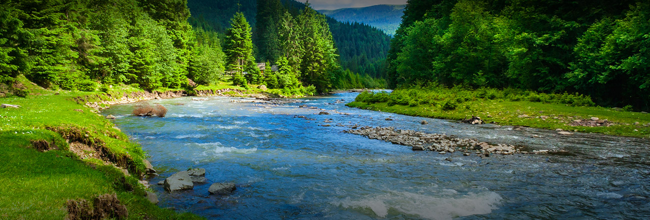 Homepage Banner Recycler